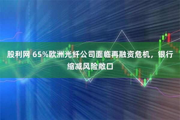 股利网 65%欧洲光纤公司面临再融资危机，银行缩减风险敞口