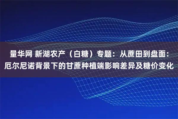 量华网 新湖农产（白糖）专题：从蔗田到盘面：厄尔尼诺背景下的甘蔗种植端影响差异及糖价变化