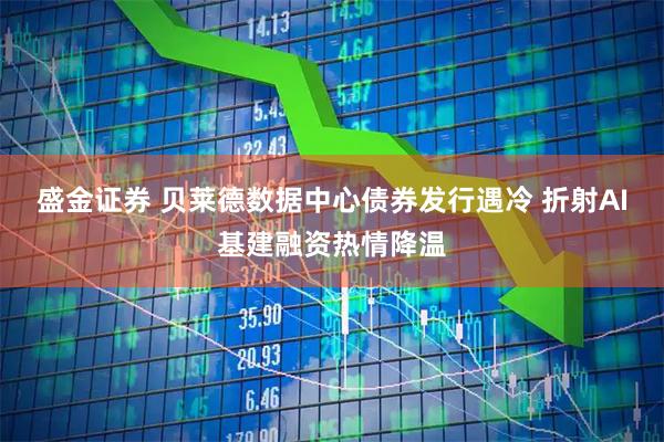 盛金证券 贝莱德数据中心债券发行遇冷 折射AI基建融资热情降温